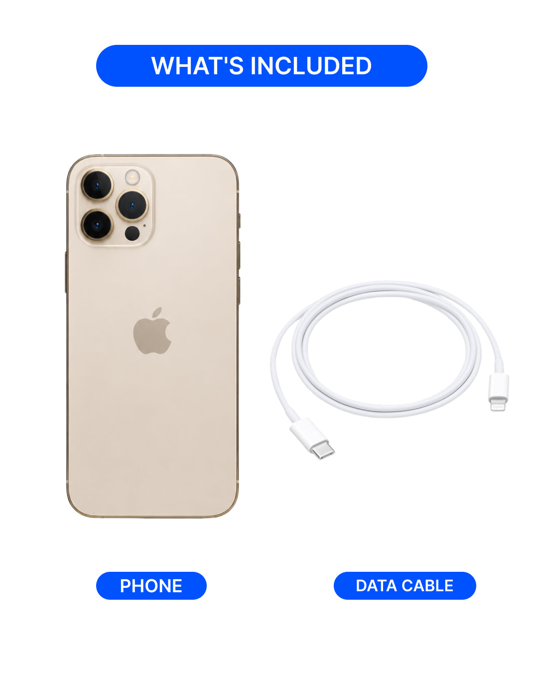 An iPhone shown from the back next to a coiled white data cable on a white background, with blue labels reading WHAT'S INCLUDED, PHONE, and DATA CABLE.