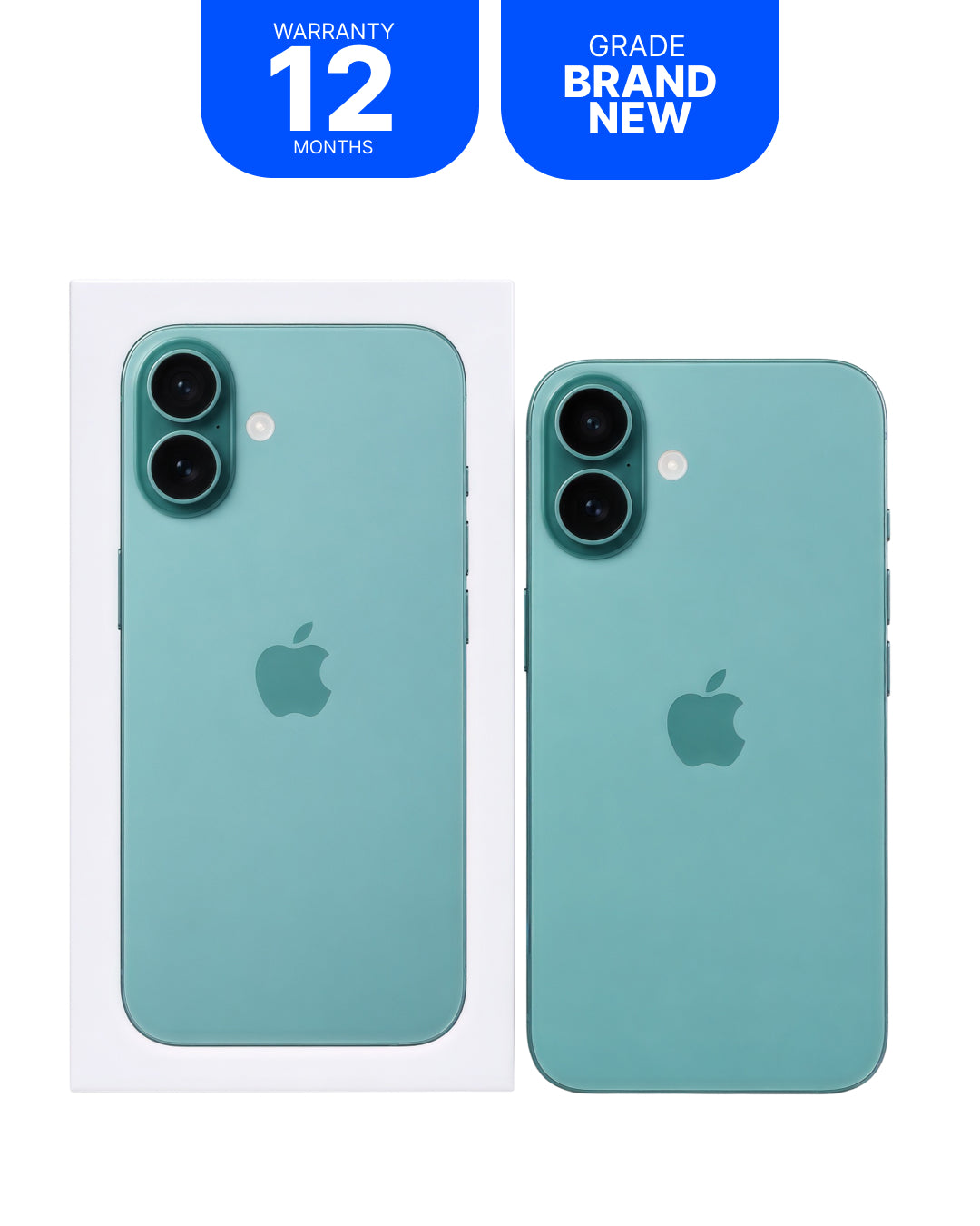 A mint green iPhone shown from the back, alongside its white retail box and two blue promotional badges reading 'WARRANTY 12 MONTHS' and 'GRADE BRAND NEW'.